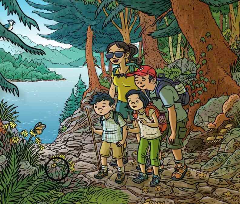 hidden objects optical illusions with answers