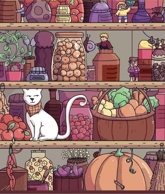 hidden objects picture puzzles