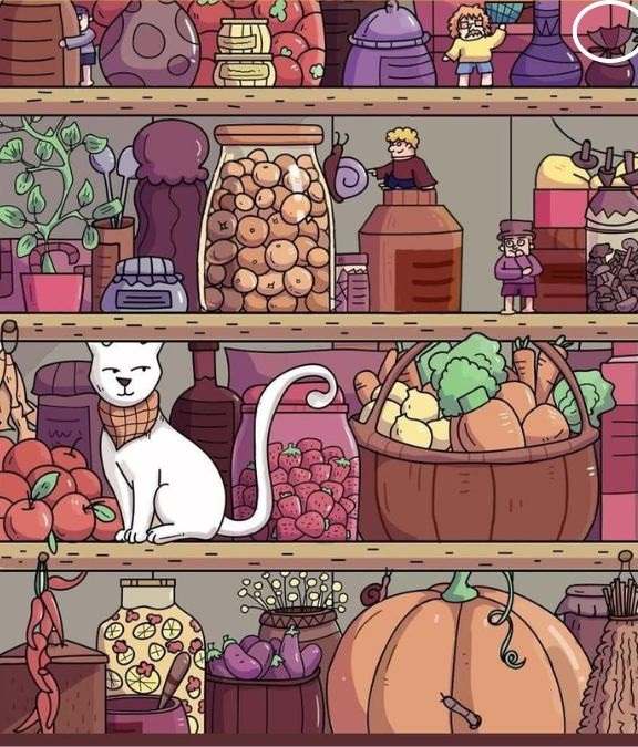 hidden objects picture puzzles with answer