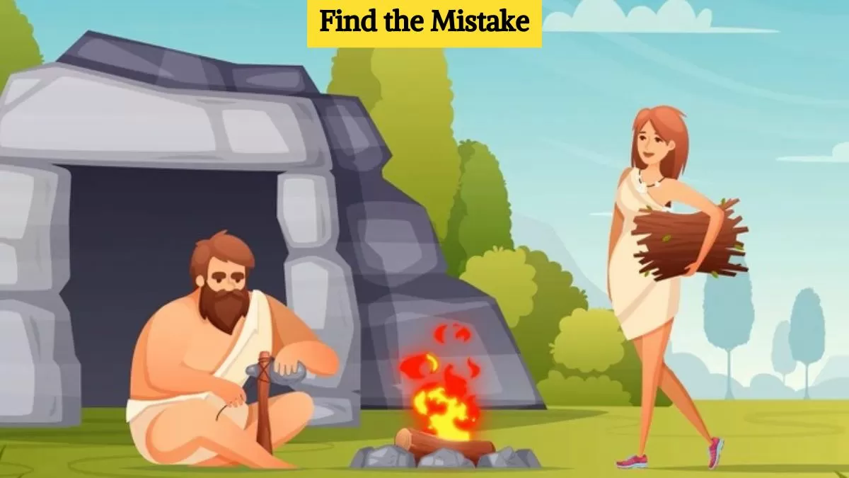 Find the mistake in the picture