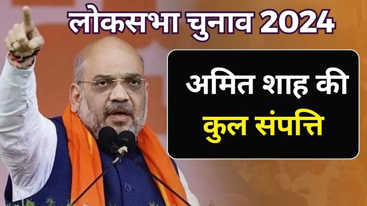 कितनी संपत्ति के मालिक है होम मिनिस्टर