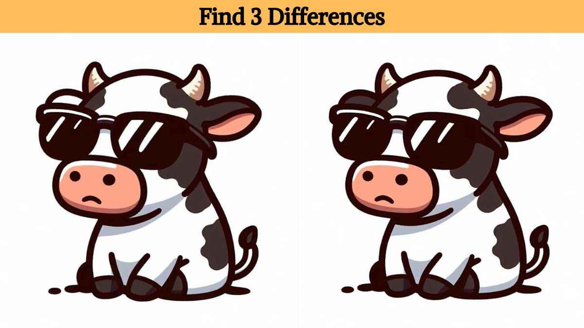 Find 3 differences between the pictures of a cow wearing shades in 15 seconds!