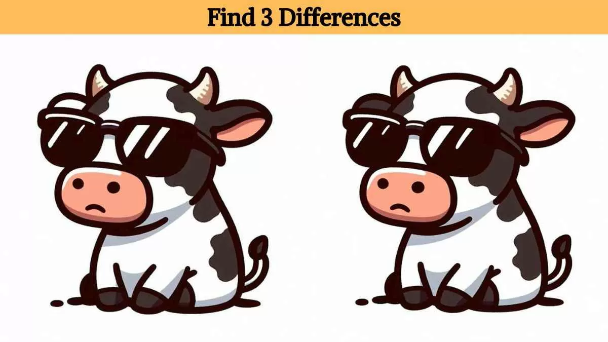 Find 3 differences in 15 seconds