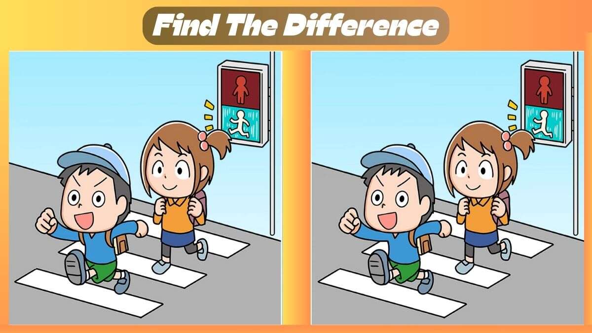Find 3 Differences In 34 Seconds Within The Road Crossing Scene
