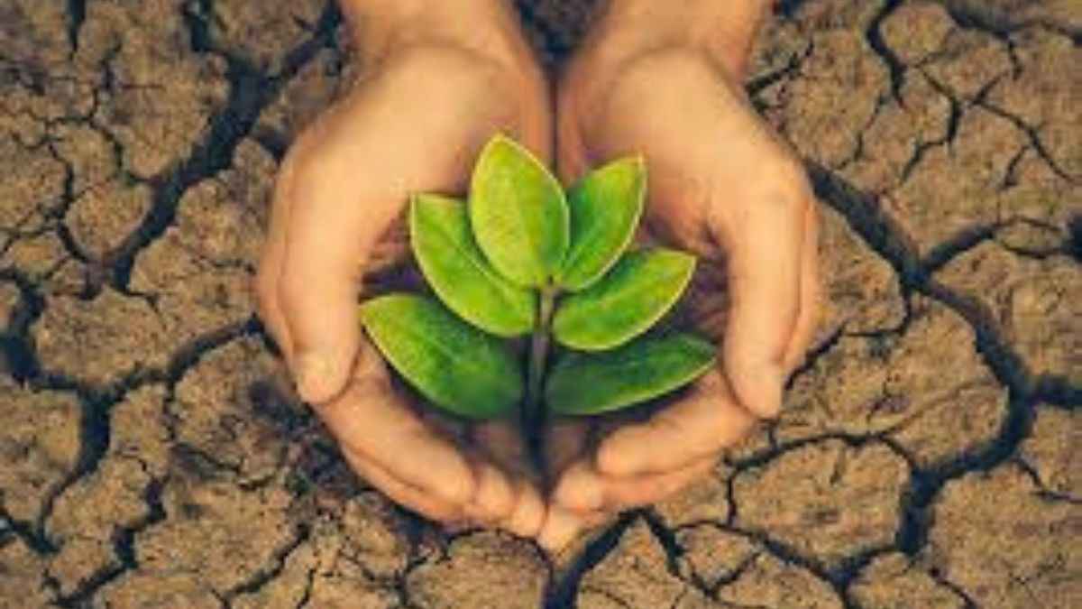 Green Credit Program Rules: What are these rules? What is the program all about?