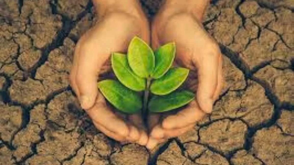 Green Credit Program Rules: What are these rules? What is the program all about?