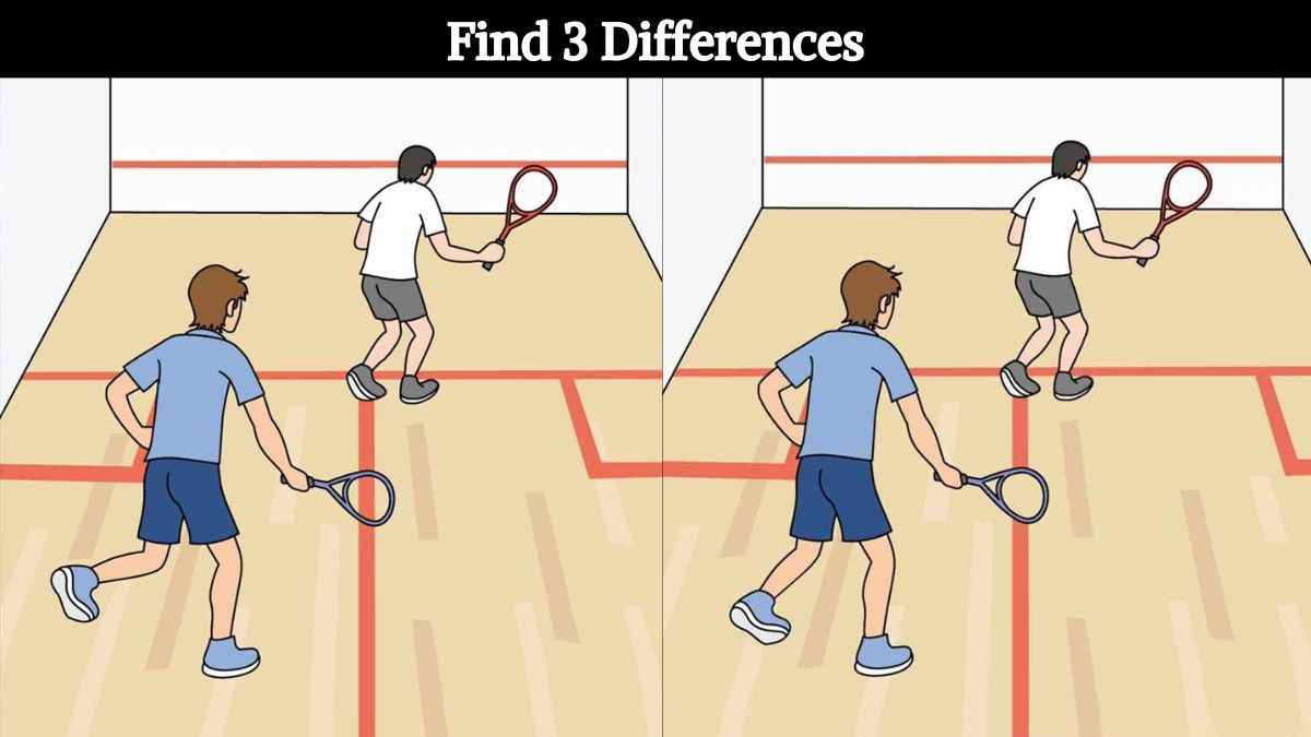 Find 3 differences between the pictures of guys playing squash in 11 seconds!