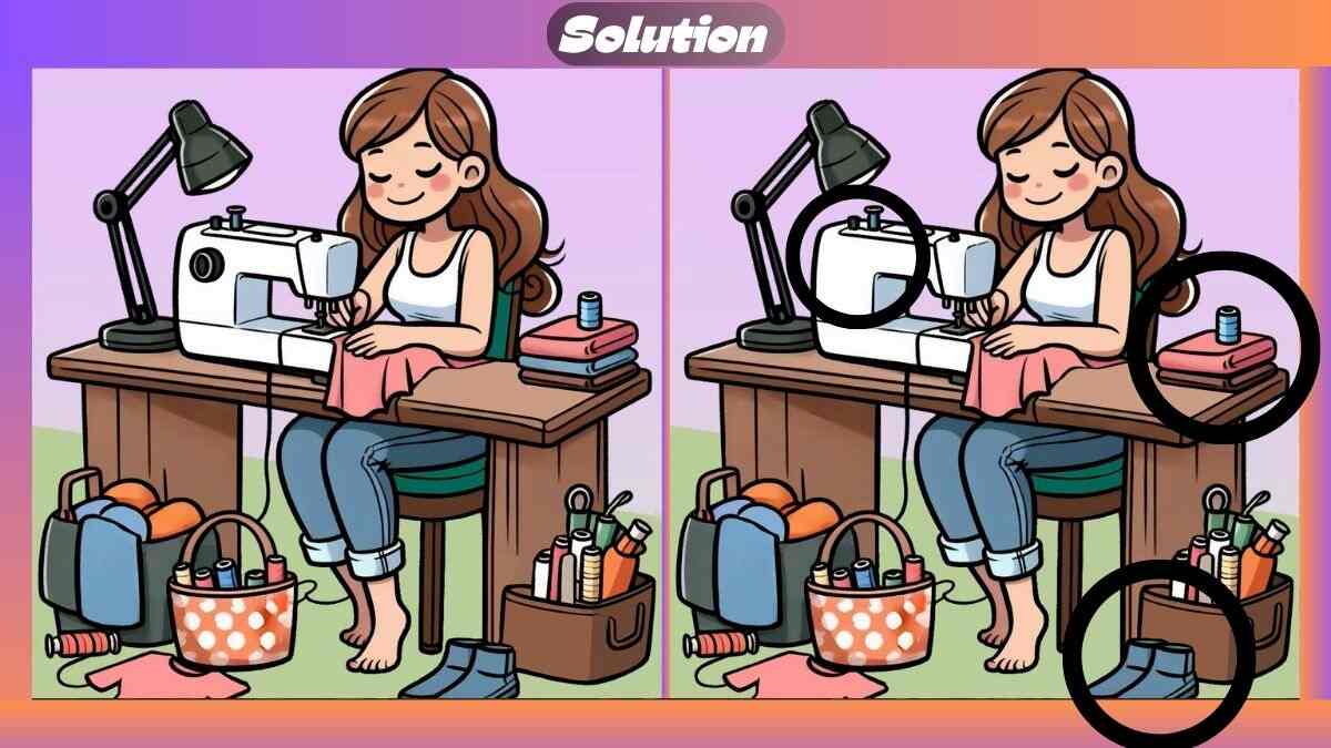 Find 3 Differences In 36 Seconds In Woman Stitching Scene