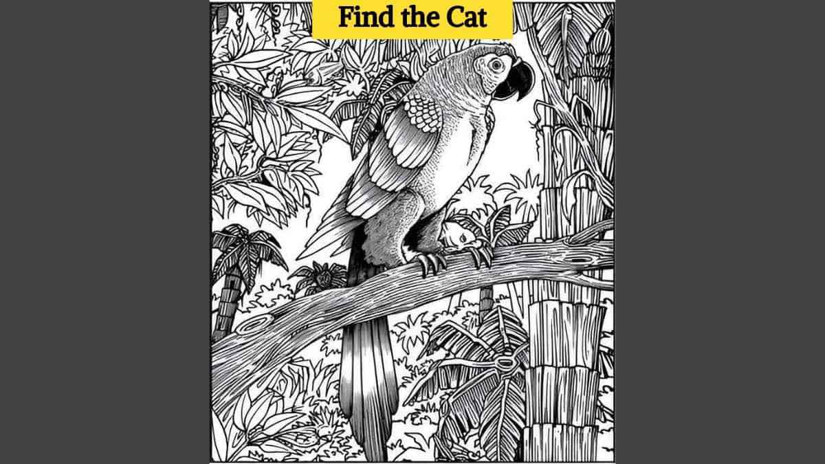 Only eagle eyed readers can find the hidden cat in 9 seconds!