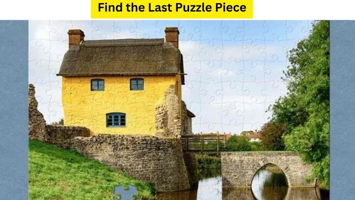 Dare The Dude To Find The Last Puzzle Piece To Complete This Countryside Picture. 13 Seconds Left!