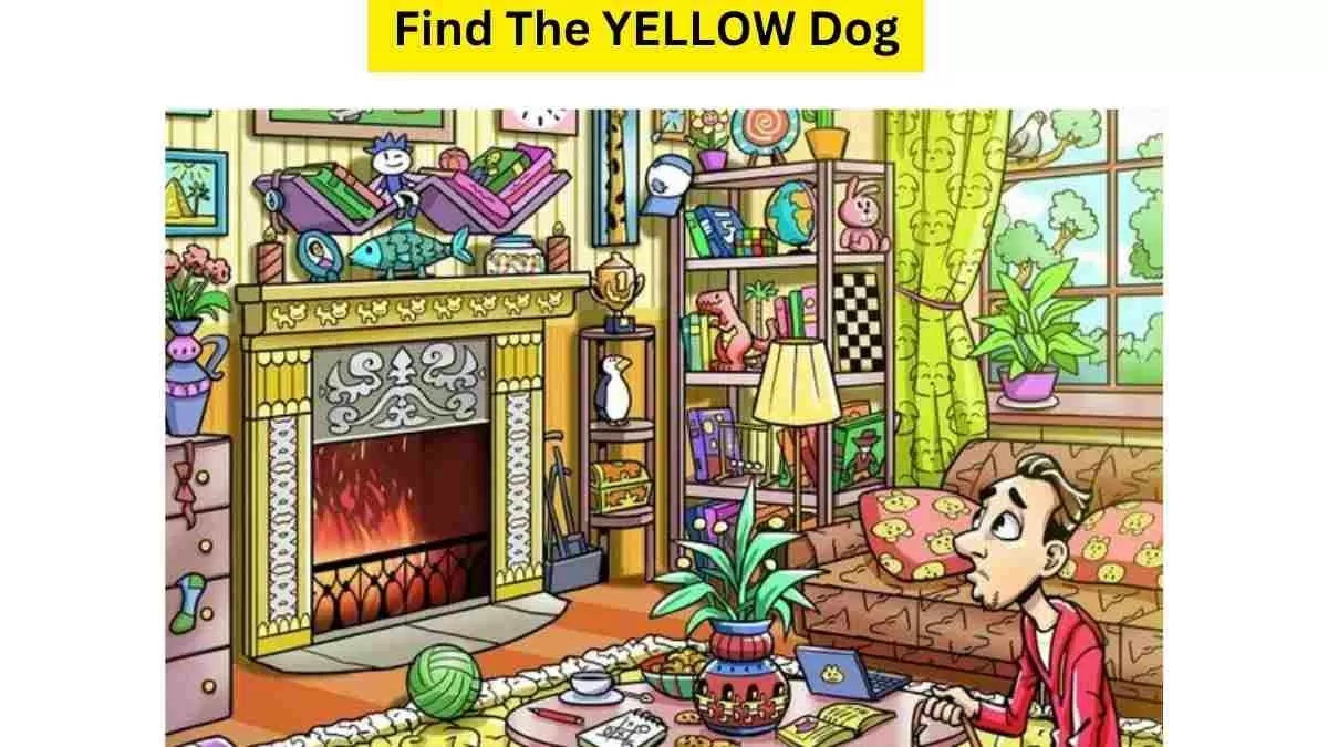Spot The Missing Dog!