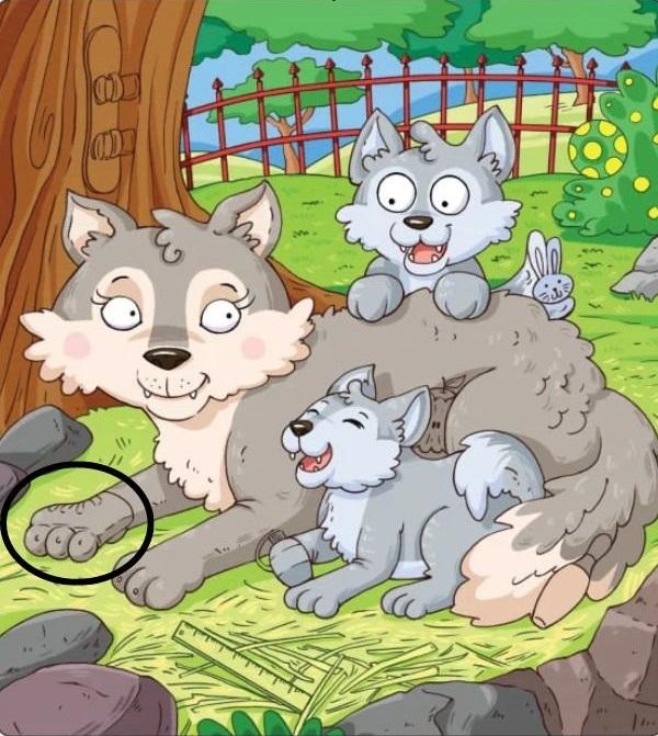 hidden objects optical illusions with answers