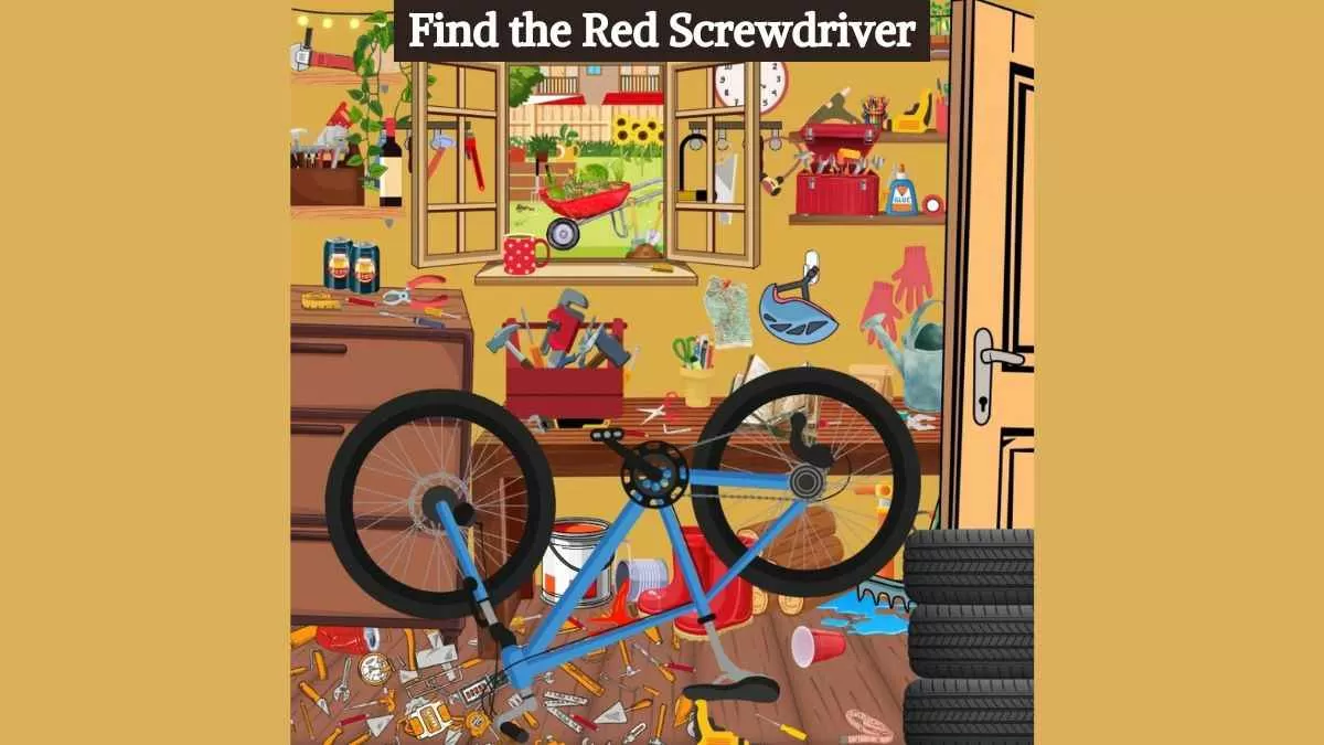 Find red screwdriver