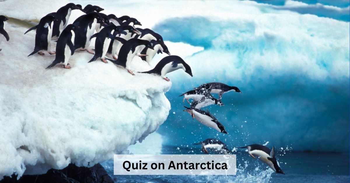GK Quiz on Antarctica: Are You an Antarctica Expert? Take the Chilling Quiz and Find Out