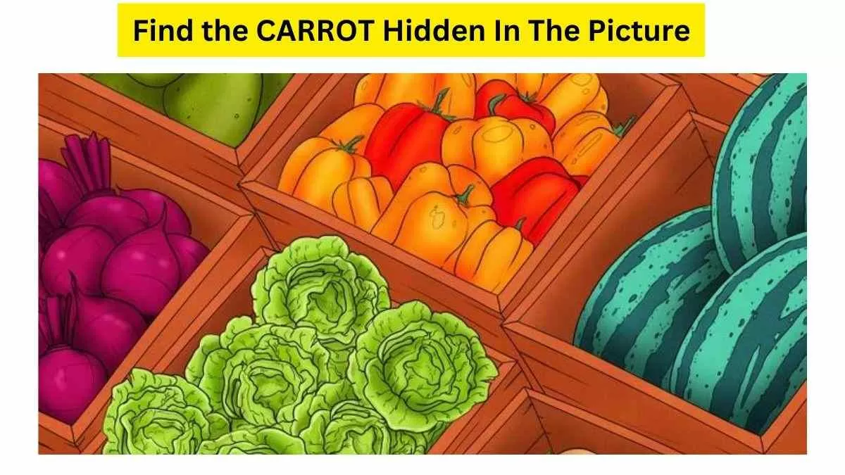 Spot The Carrot Hidden In The Picture!