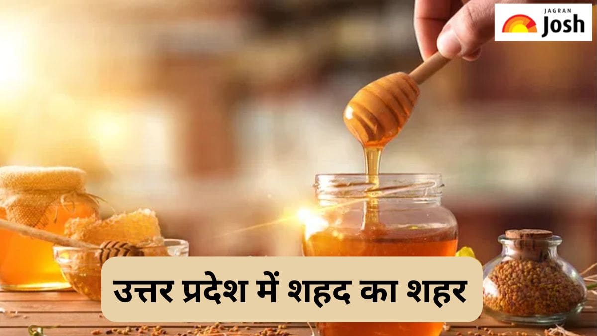 उत्तर प्रदेश में कौन-सा जिला है शहद का शहर, जानें 