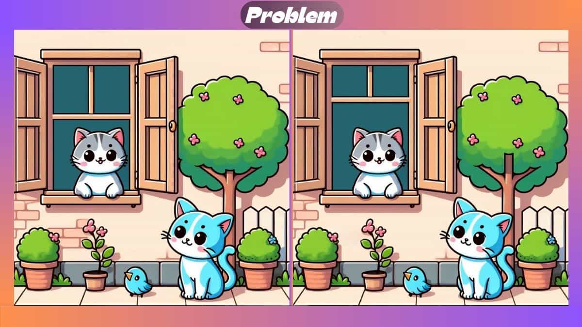 Find 3 Differences In 38 Seconds In Two Kittens Scene