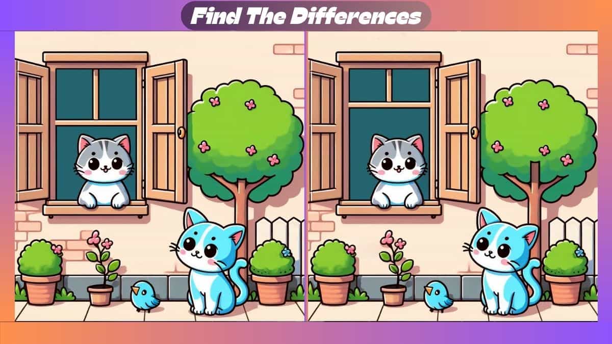 Find 3 Differences In 38 Seconds Within Two Kittens Scene