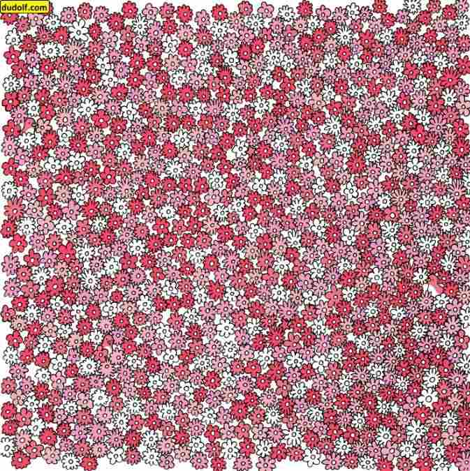 hidden objects picture puzzles