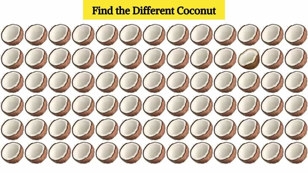 Optical Illusion Eye Test: Find the different coconut in the picture in 5 seconds!