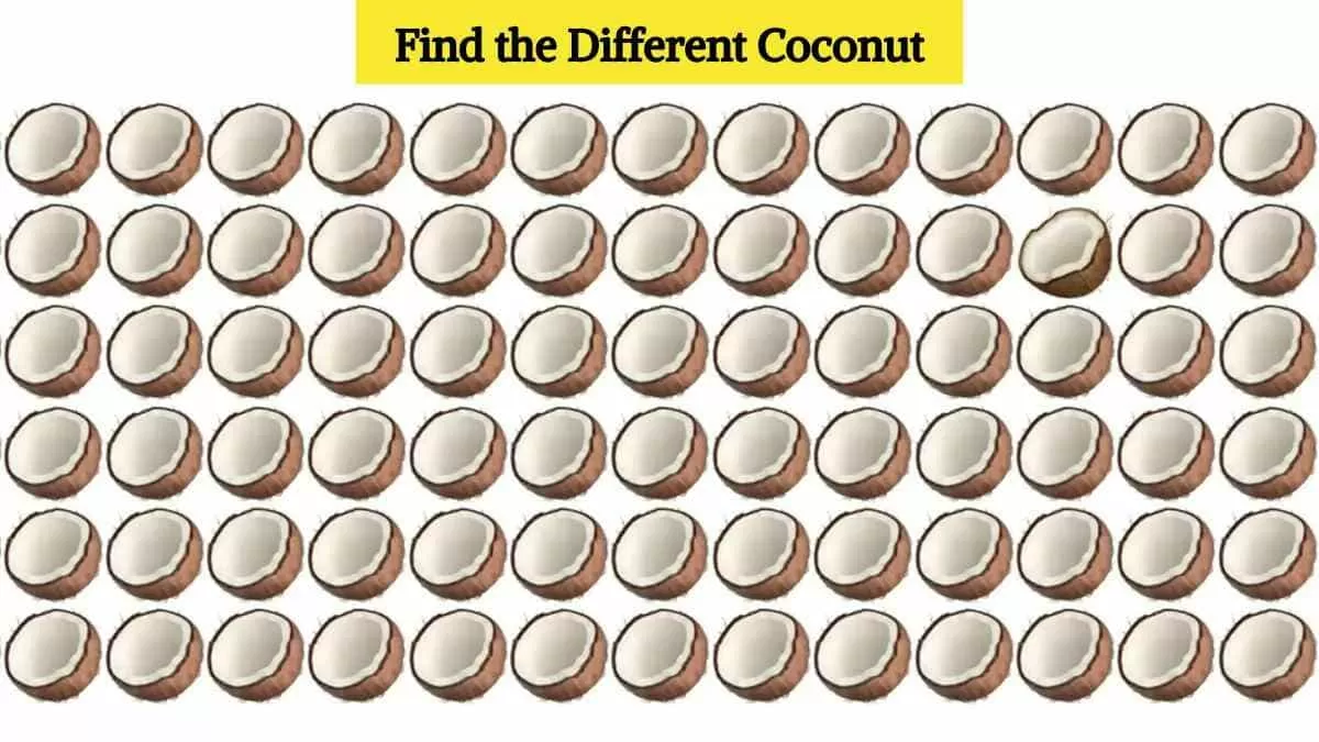 Find the different coconut