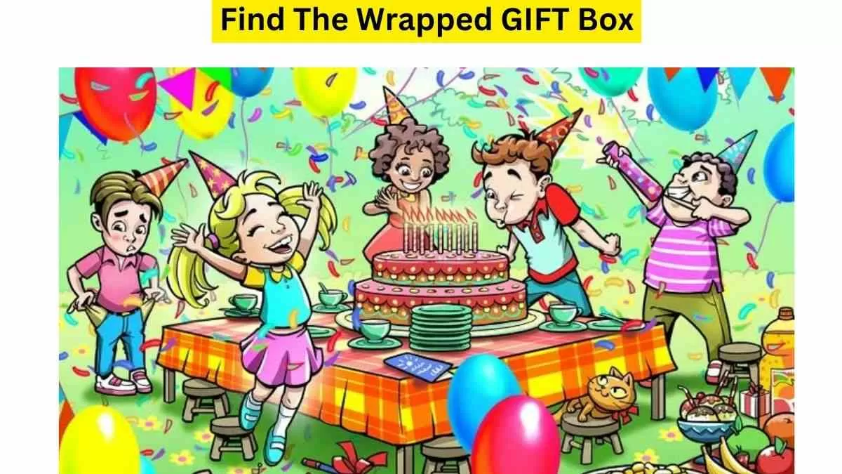 Spot The Gift Box In The Picture