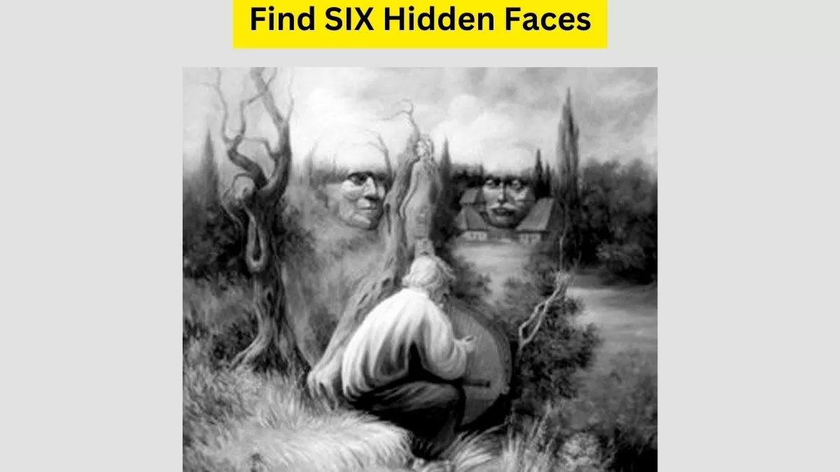 Spot All The Faces Hidden In The Picture!
