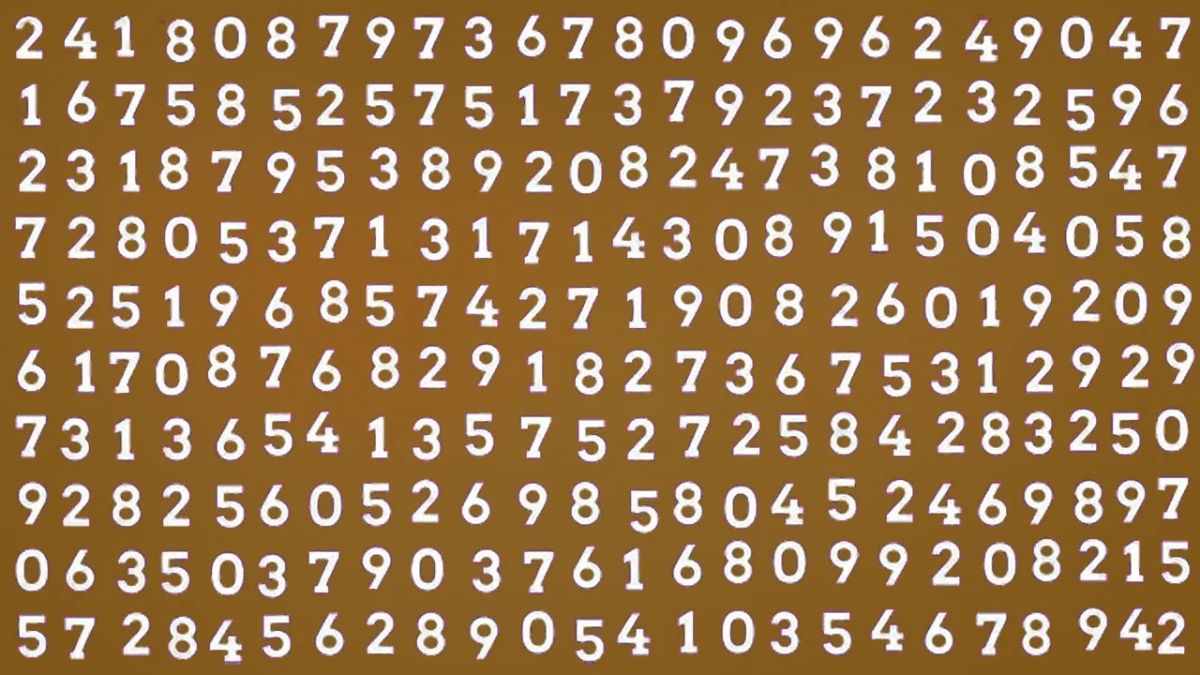 hidden numbers optical illusions