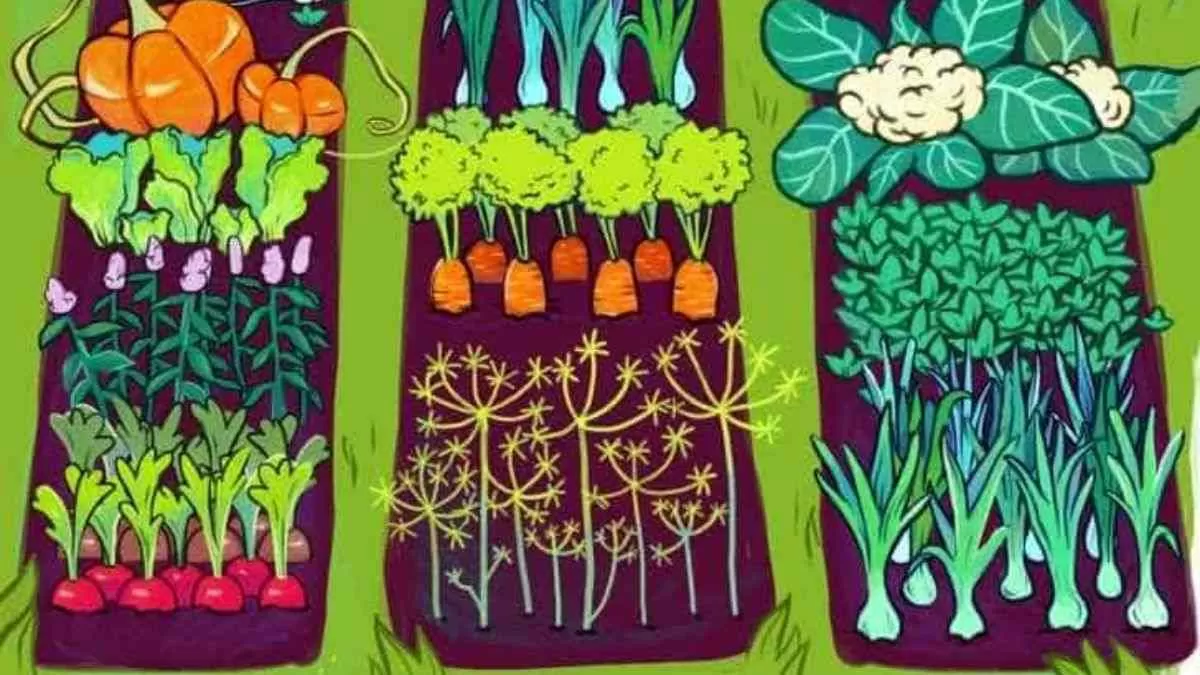 Spot the headphones.