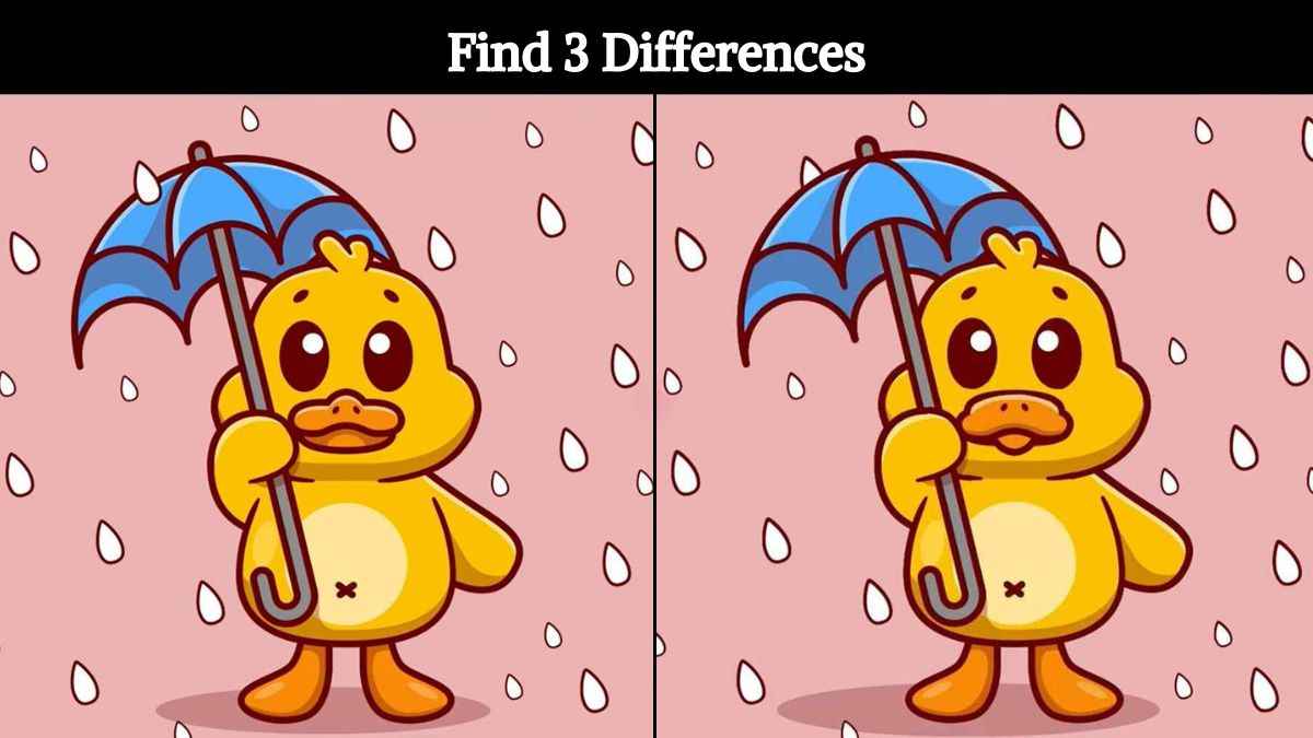 Find 3 differences between the pictures of a duck with an umbrella in ...