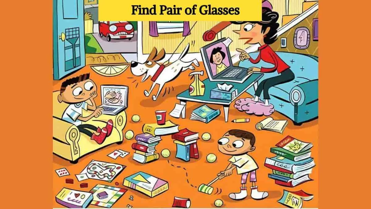 Find pair of glasses