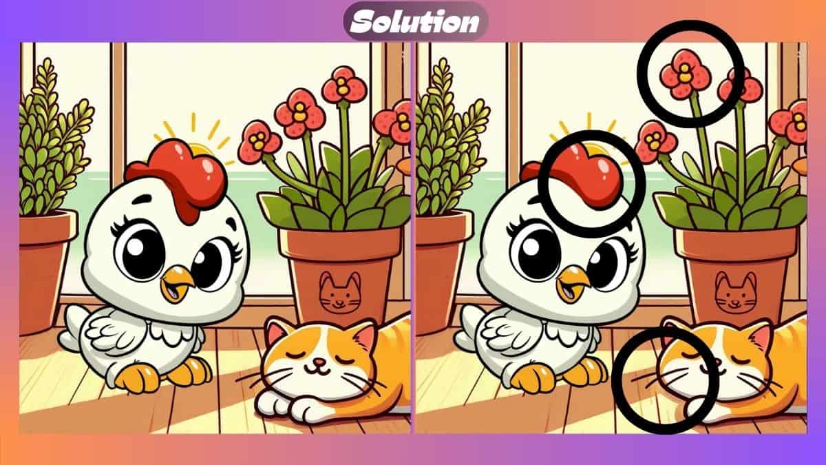 Find 3 Differences In 39 Seconds In Kitten and Chick Scene