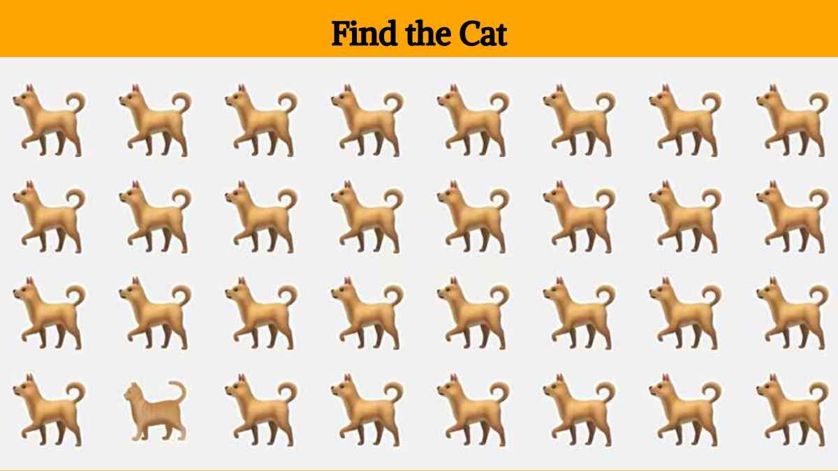 Optical illusion vision test find the cat in the picture in 3 seconds 