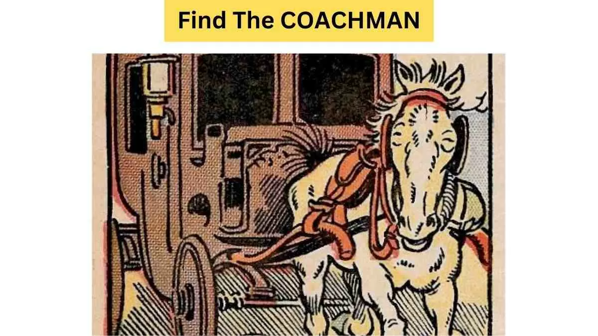Spot The Coachman Hidden In The Picture!