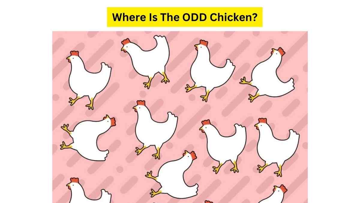 Vision Test: Spot The ODD CHICKEN Hidden In The Flock Within 7 Seconds. Good Luck! 