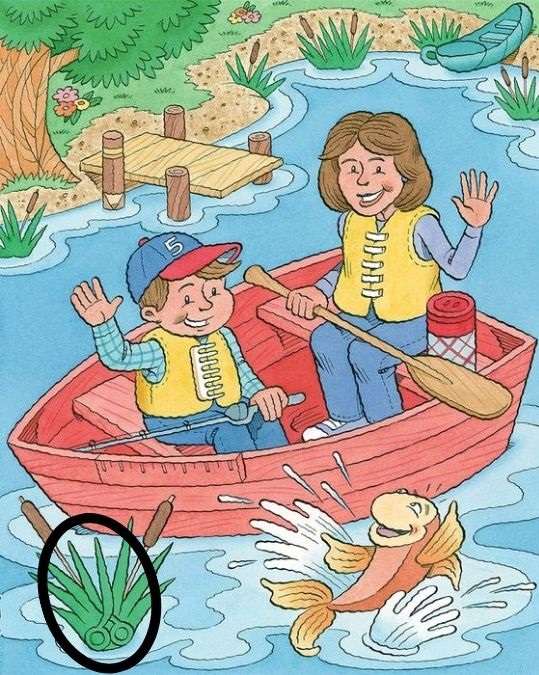 Optical Illusion IQ Test: Use Your Sharpest Vision To Spot The Scissors ...