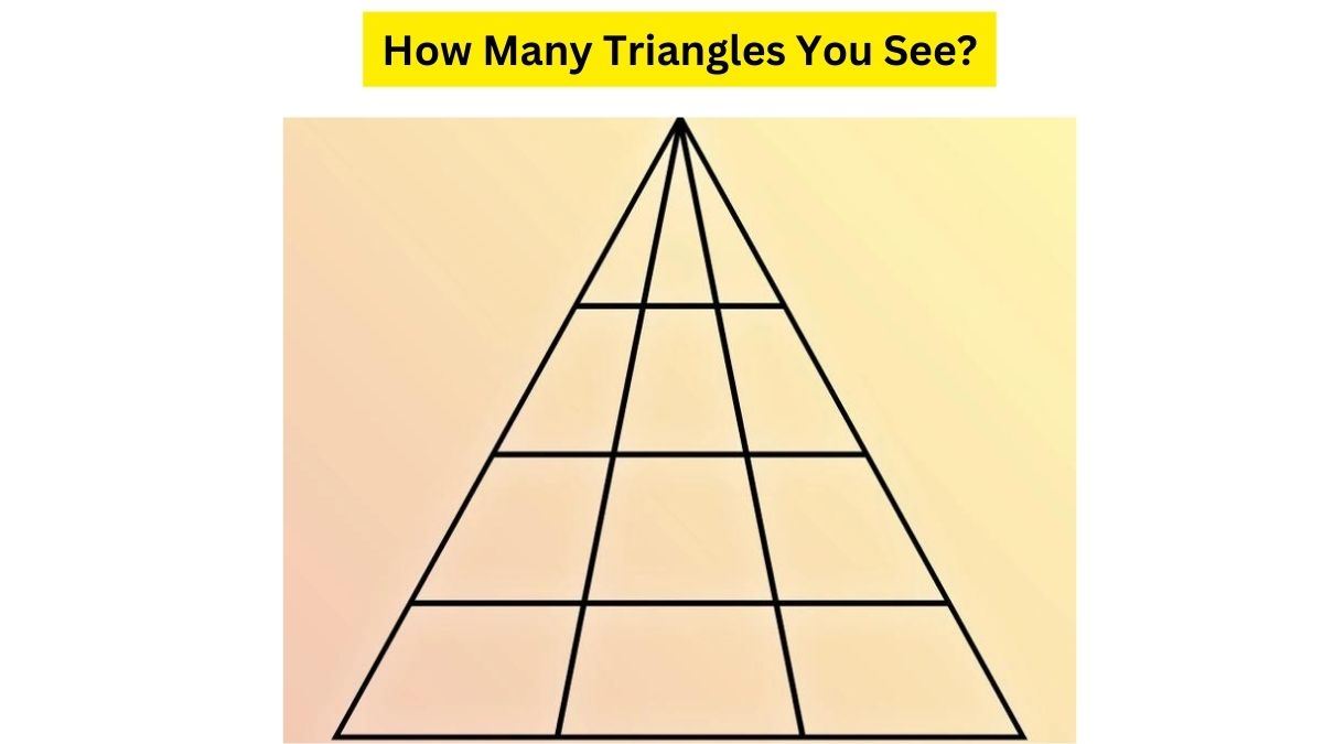 Test Your IQ: How Fast You Can Count The Total Number Of Triangles In The Picture? Timer Is On!