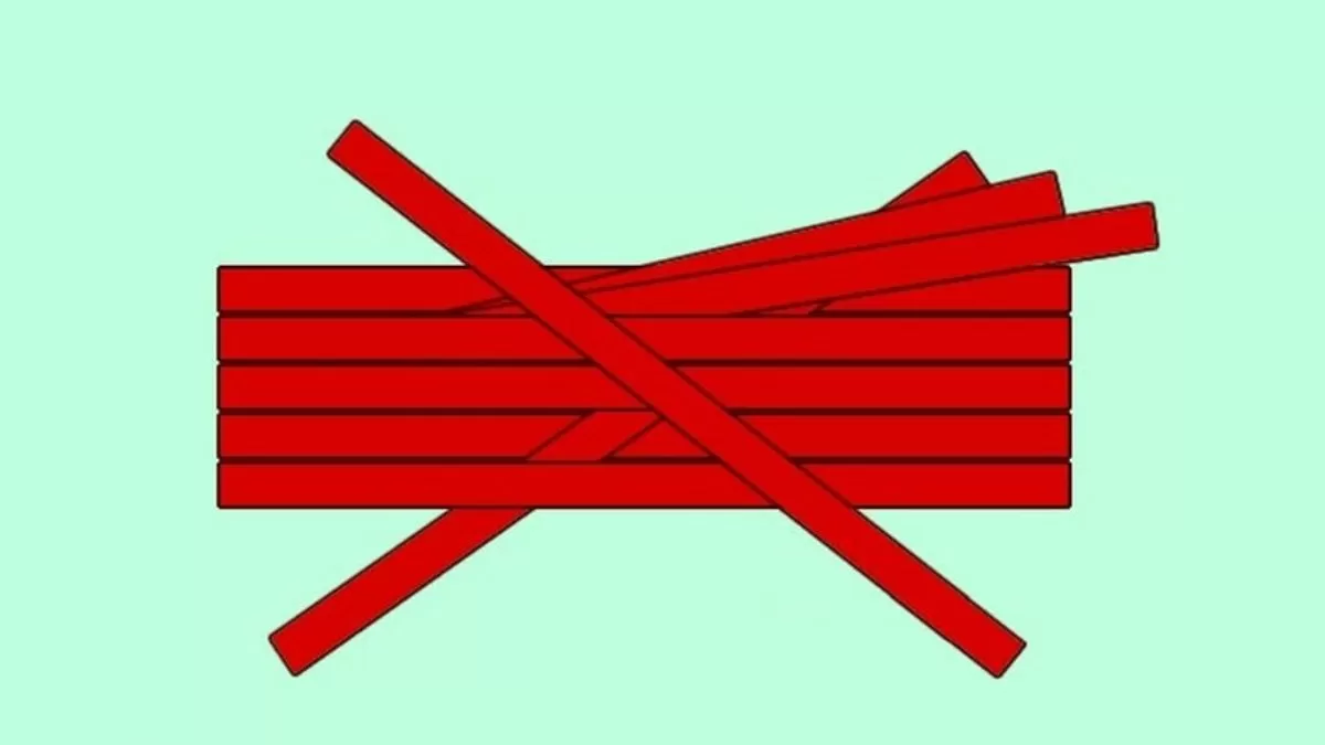 How many sticks are there in this image?