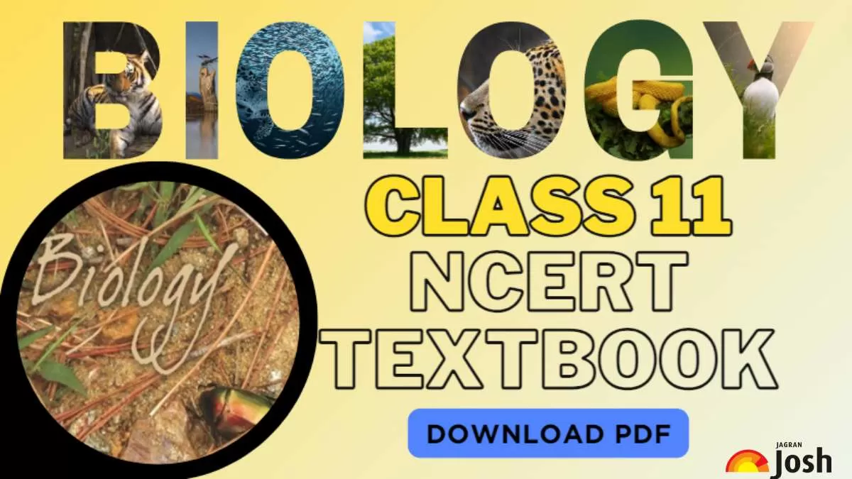 Ncert Pdf P Block Elements Group 13 To 18 NCERT As Per New Syllabus