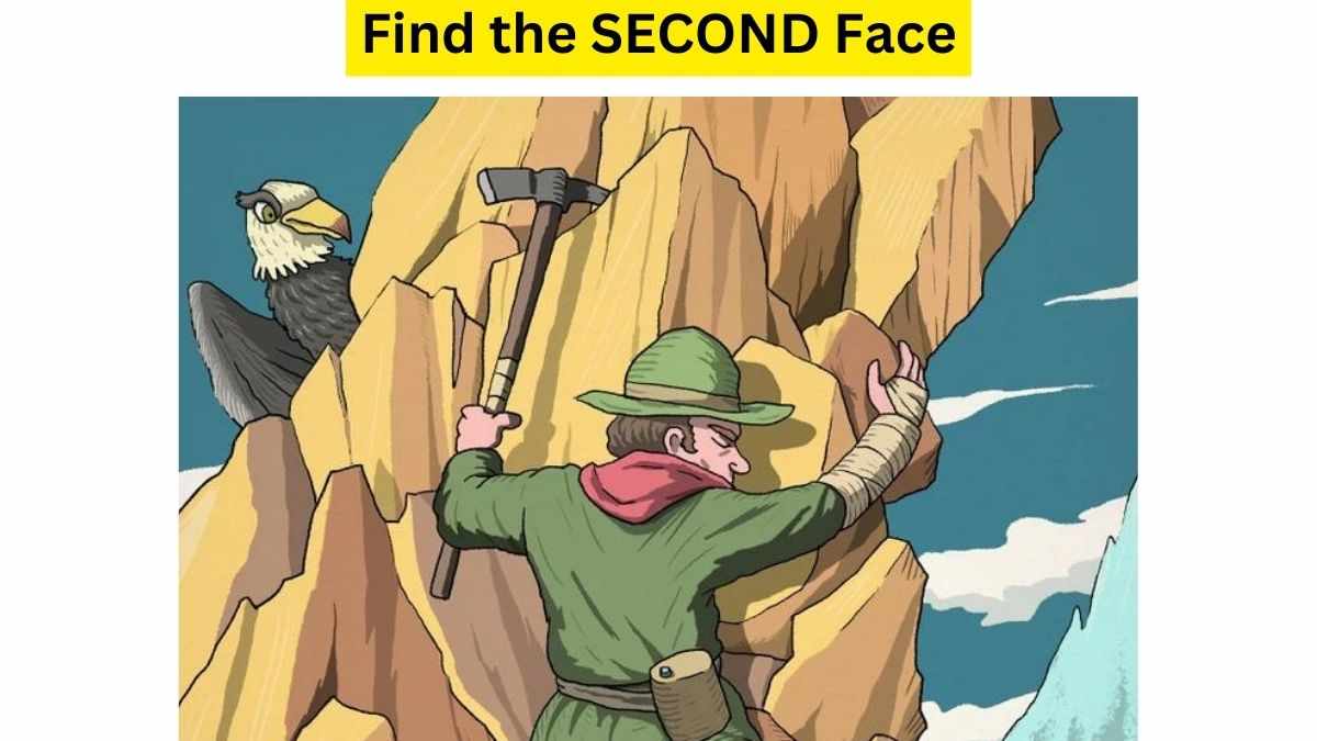  Only an ‘A’ Grade Student Can Find The Hidden Face In This Brain Teaser. 29 Seconds Left!