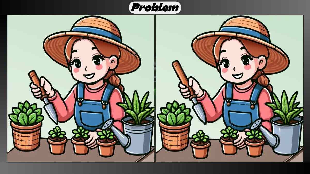 Find 3 Differences in 19 Seconds in This Indoor Gardening Picture