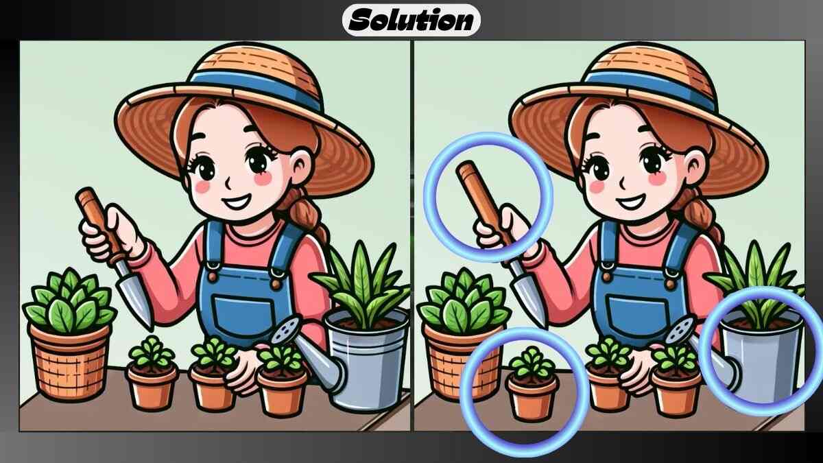 Find 3 Differences in 19 Seconds in This Indoor Gardening Picture