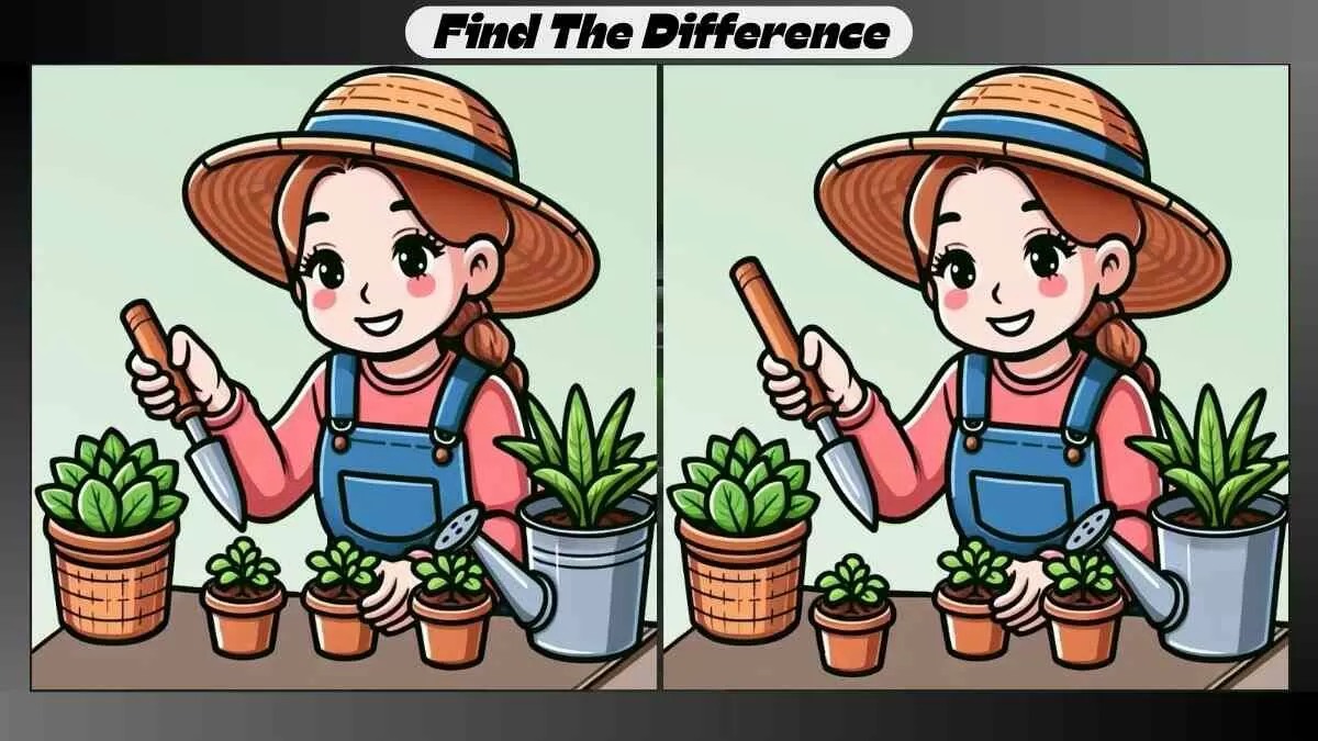 Find 3 Differences in 19 Seconds in This Indoor Gardening Picture