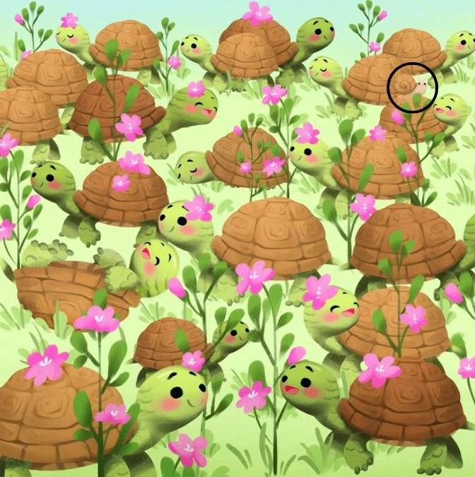 hidden optical illusions