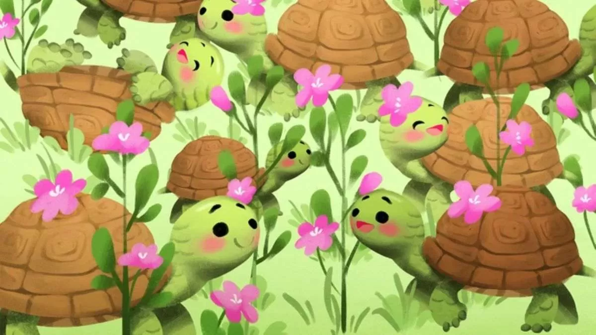 Can You Spot The Snail?