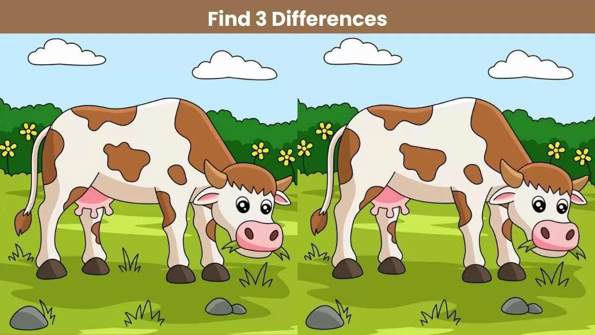 Find 3 differences in 15 seconds