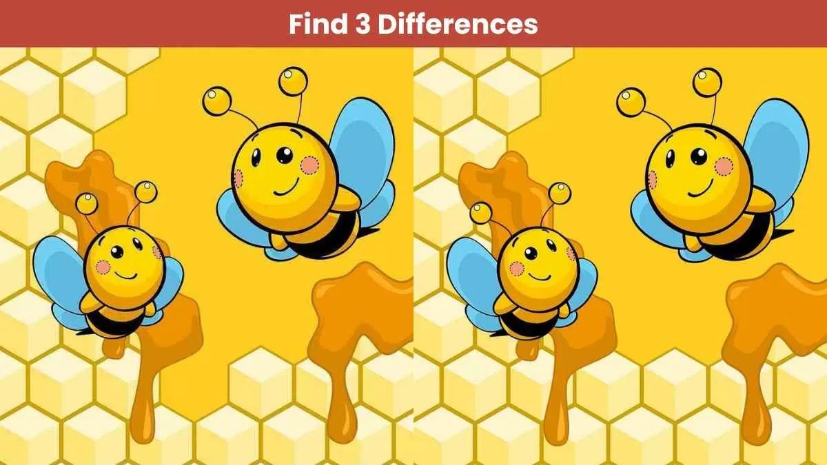 Find 3 differences in 14 seconds