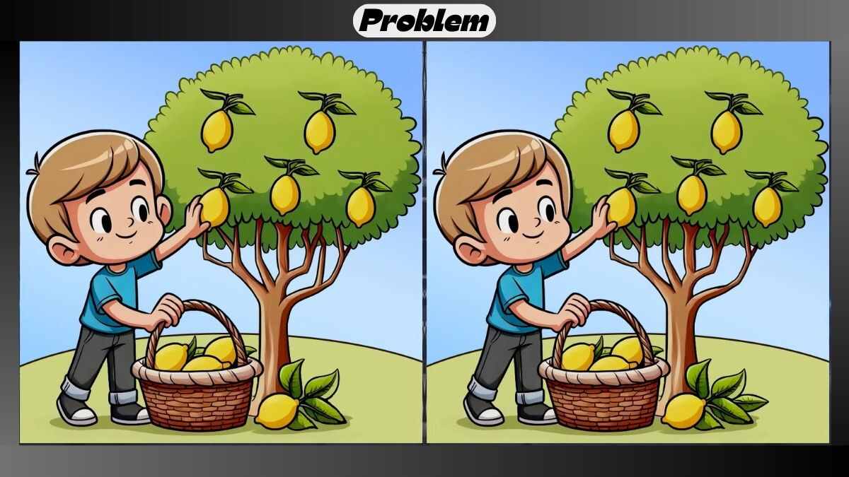 Find 3 Differences in 18 Seconds in This Lemon Plucking Picture
