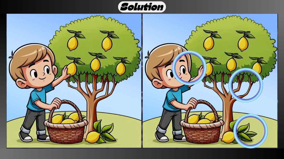 Find 3 Differences in 18 Seconds in This Lemon Plucking Picture