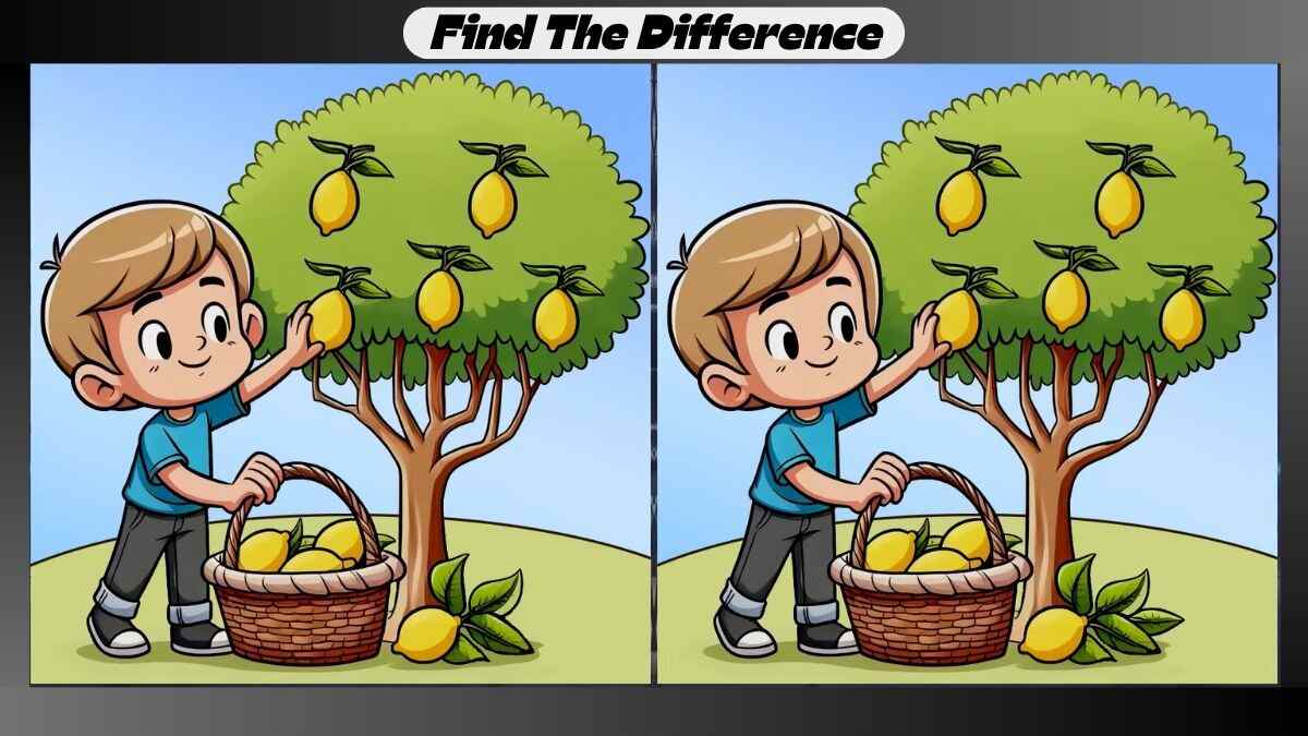 Spot 3 Differences Between Lemon Plucking Pictures in 18 Seconds